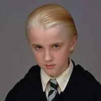 Draco chiquito