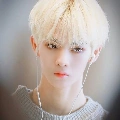 ชอลซู(มาเฟียแก๊งมังกรหยก)