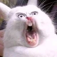เเอดเองฮะ