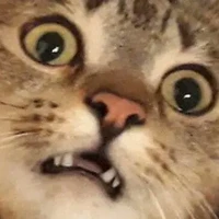 แอดเอง