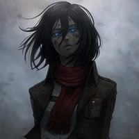 Mikasa the author:>