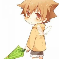 young tsuna