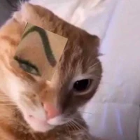 แอด
