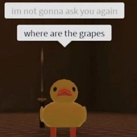 Y/n