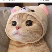ลิซ่า