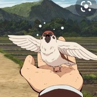 chúntaro