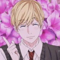 akemi