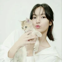 พิมพ์ดาว