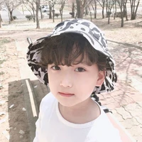 ดาวเหนือ