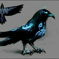 zoc