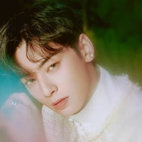 Liú Xìngshēn [Pangeran Liu]