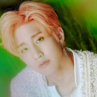 Wáng Xuémin [Pangeran Wang]