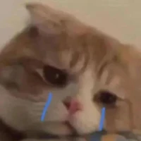 แอด