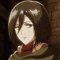 Mikasa