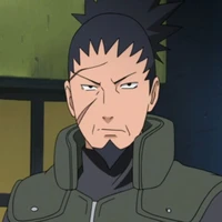 shikaku nara