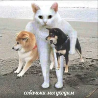 เรา(ชาติก่อน)