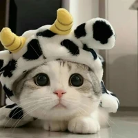 เสี่ยวไป๋