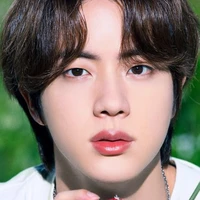 Kim seokjin(✿^‿^)