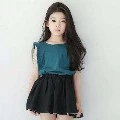 Vielle kecil