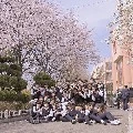 All