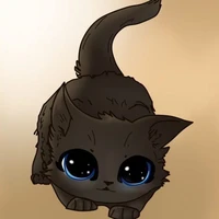 lil kitty 2