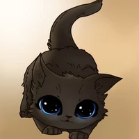 Liam(cat form)