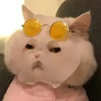 แอดเอง