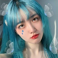 Choi Erika
