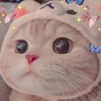 แอดมิน
