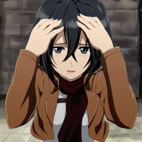mikasa