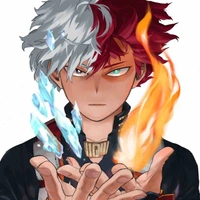 Shoto Todoroki