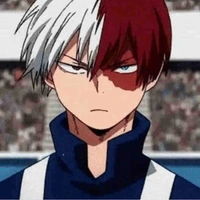 Todoroki 🧊🔥