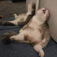 แอดมึน💤