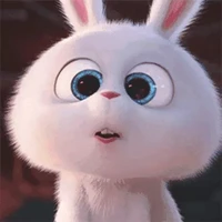 ต่ายของแอด