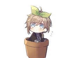 cupcake