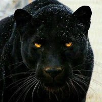 Blacky