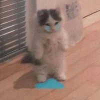 แอดด.
