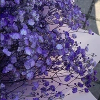 𝙰𝚐𝚗𝚎𝚜