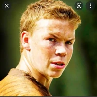 gally(a.d)
