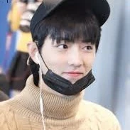 ดาวเหนือ