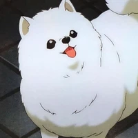Little Doggo