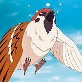 Zenitsus crow