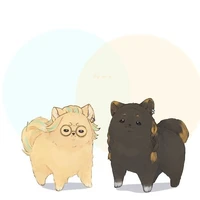ผู้แต่ง