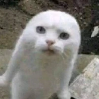 เเอดม่อนเองนะมุมุ
