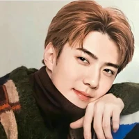 Oh sehun / sahabat hyunjin