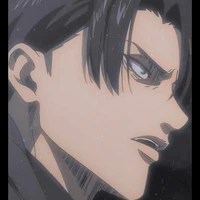 Levi