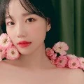 AMELLIA ATLAS (suka sama Calvin)