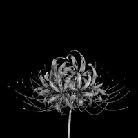 พระเจ้า