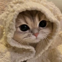 แอดเอง