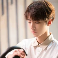 เสือ(ลูกน้องคนสนิทพระเอก)